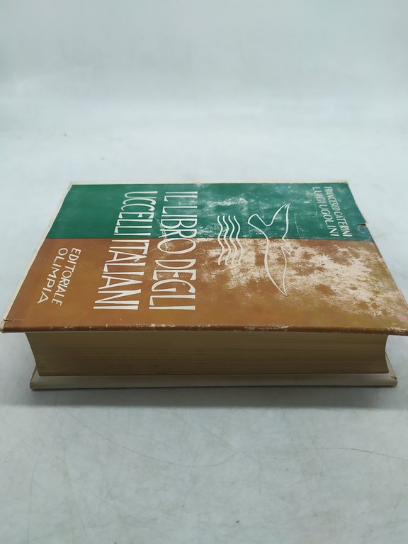 francesco caterni luigi ugolini il libro degli uccelli