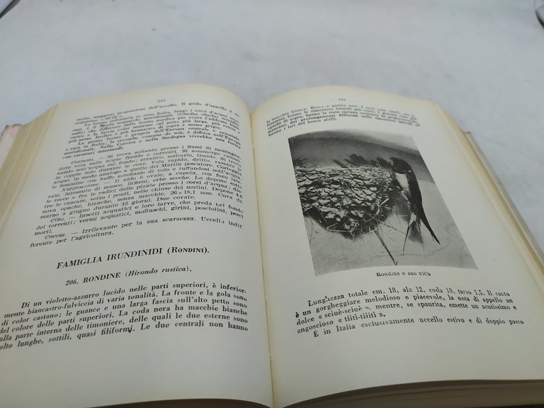 francesco caterni luigi ugolini il libro degli uccelli