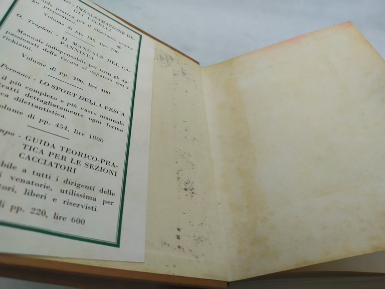 francesco caterni luigi ugolini il libro degli uccelli