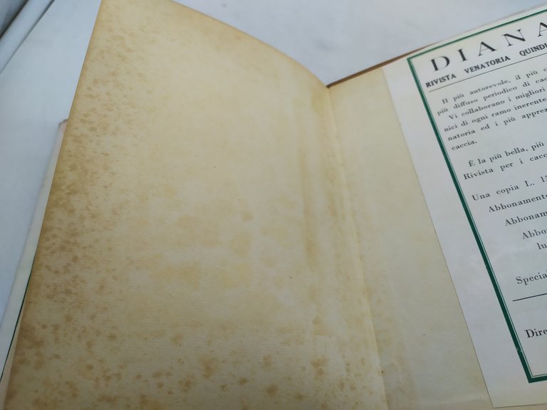 francesco caterni luigi ugolini il libro degli uccelli