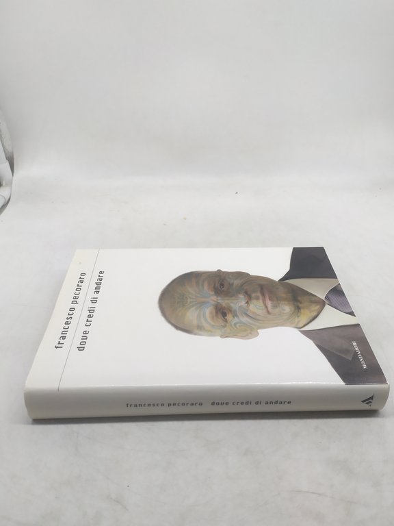 francesco pecoraro dove credi di andare mondadori