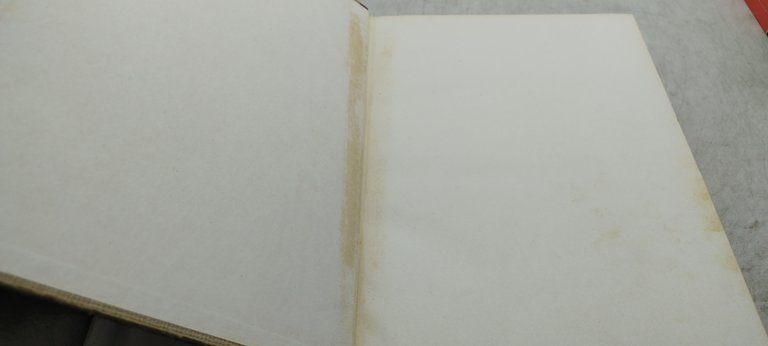 fratelli grimm nuove novelle hoepli