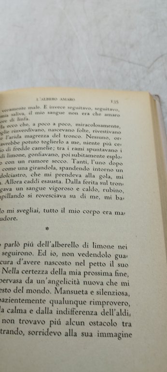 fuga racconti di alba de cèspedes