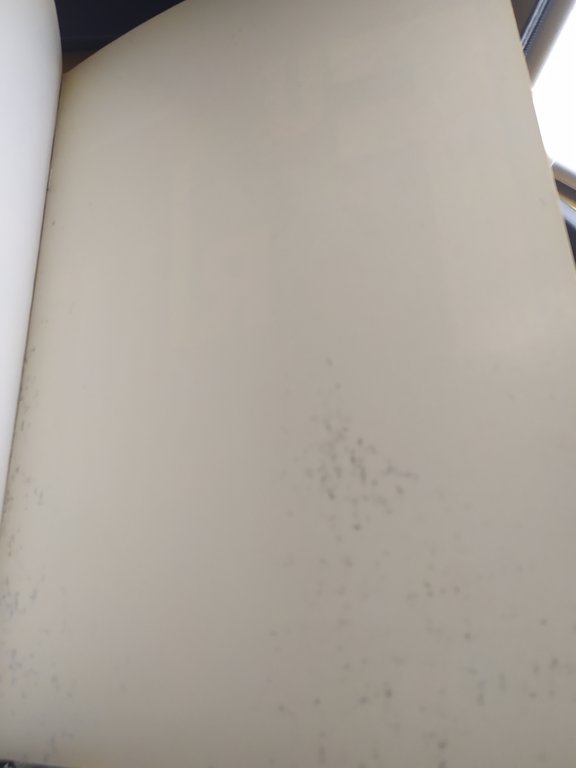 futurismo &amp; futurismi bompiani