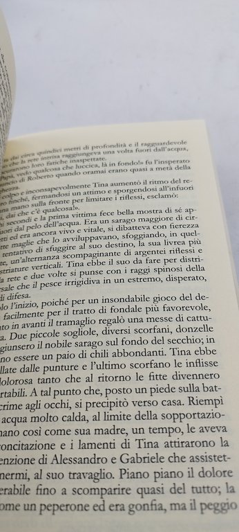 gabriele le mandorle e l'azzurro | Immagine Gallery 7