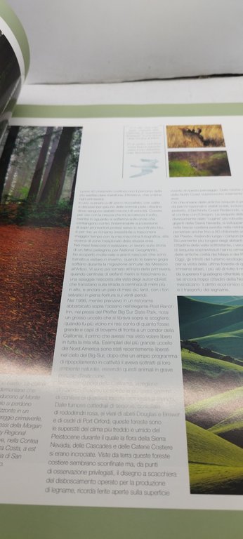 galen rowll la mia america