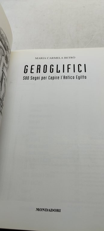 geroglifici 580 segni per capire l'antico egitto