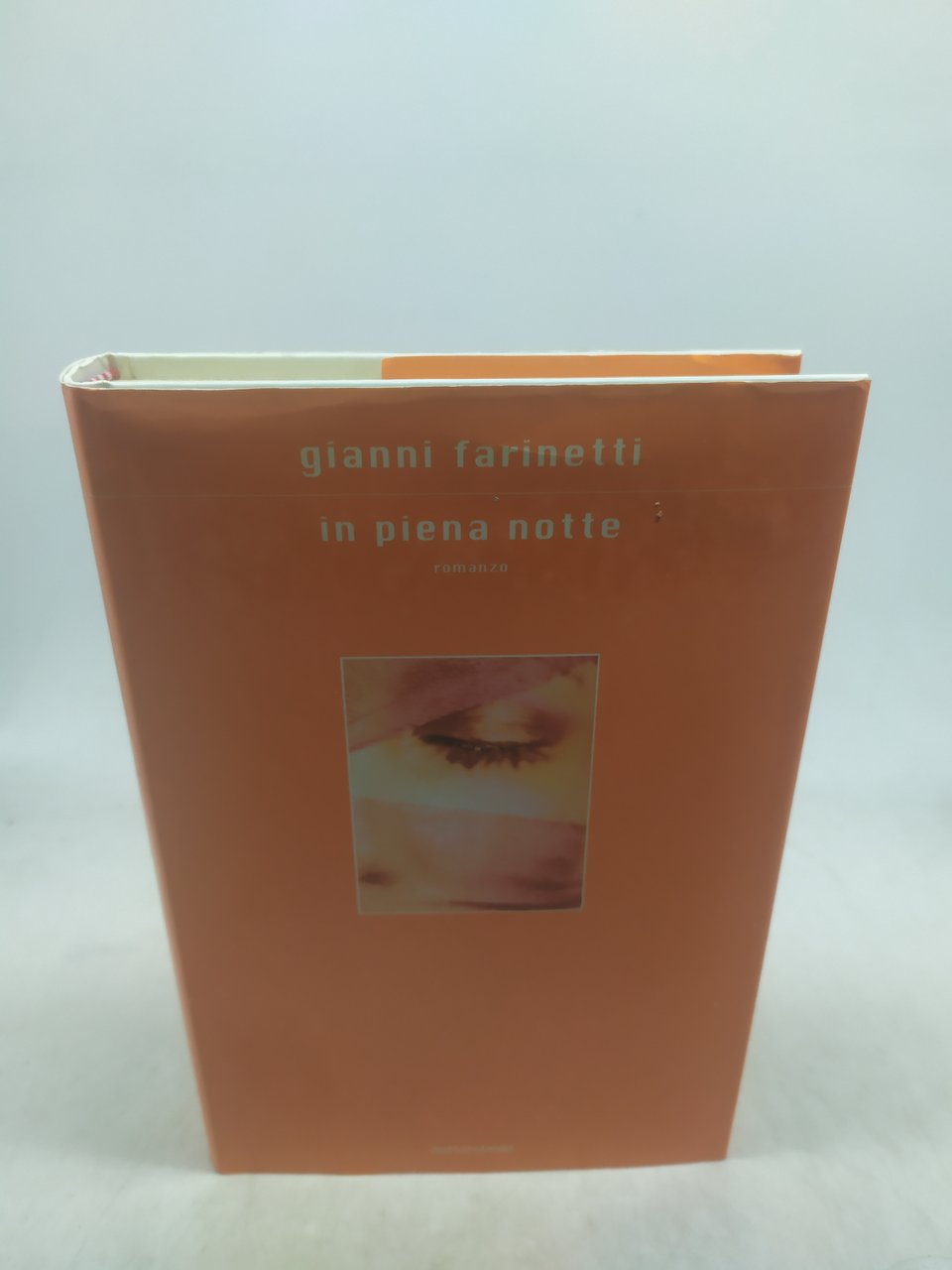 gianni farinetti in piena notte mondadori 2002