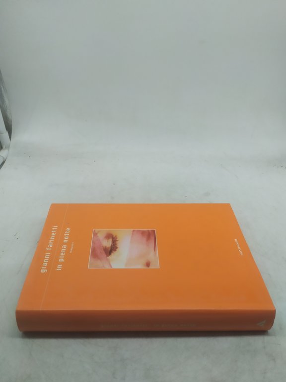 gianni farinetti in piena notte mondadori 2002