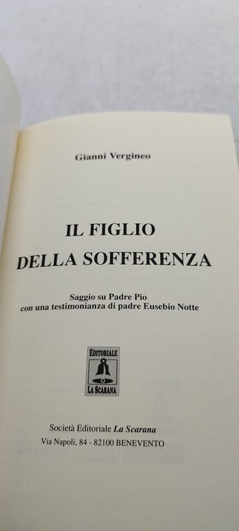 gianni vergineo il figlio della sofferenza