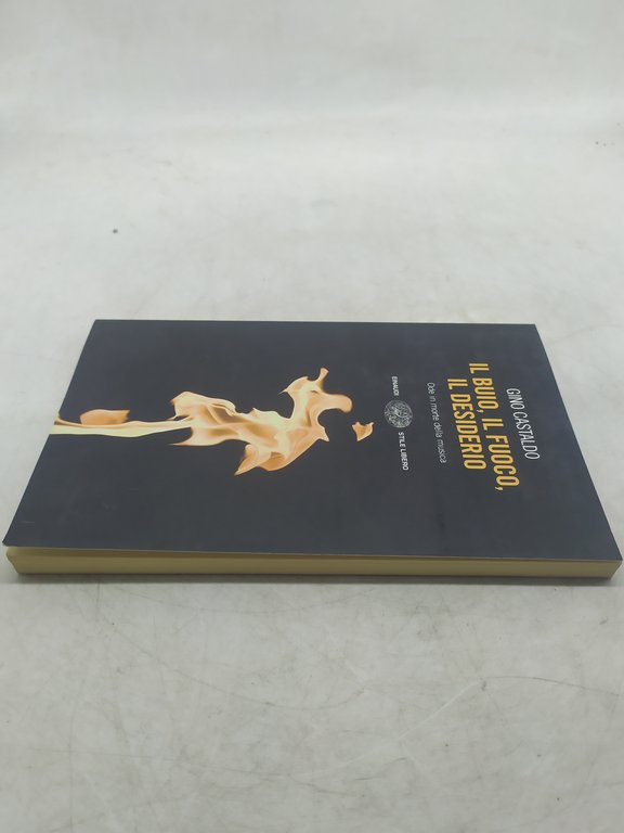 gino castaldo il buio il fuoco il desiderio einaudi stile …