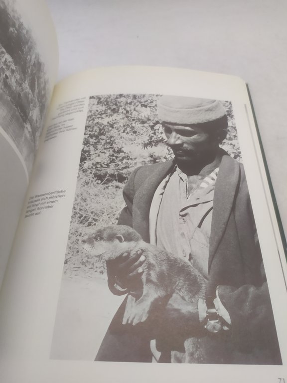 giorgio pilleri die geheimnisse der blinder delphine