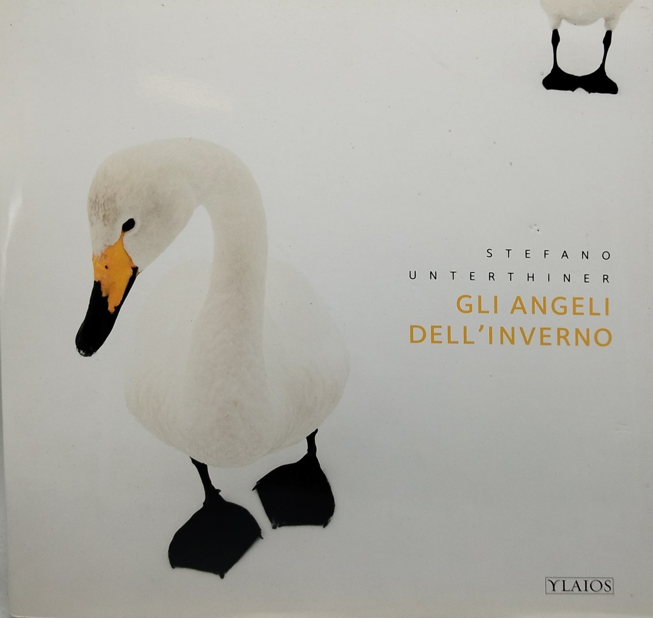gli angeli dell'inverno