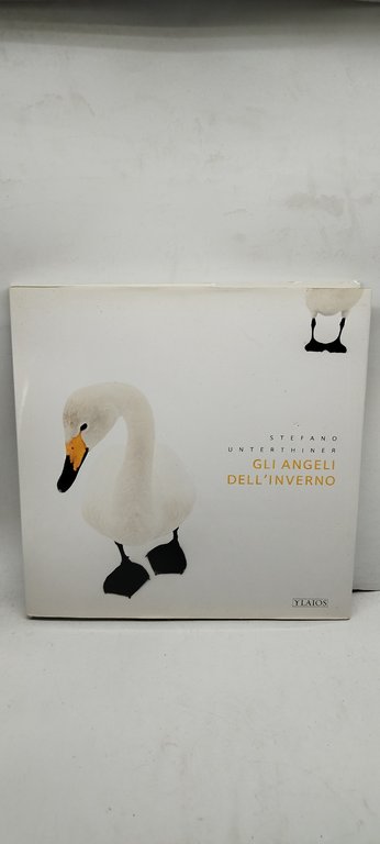 gli angeli dell'inverno
