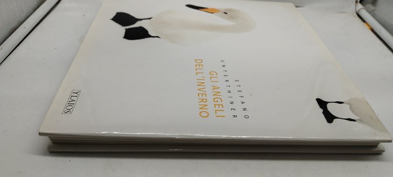 gli angeli dell'inverno