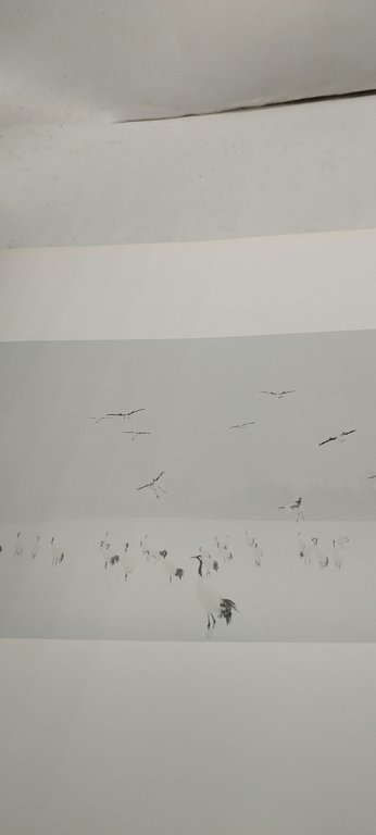 gli angeli dell'inverno