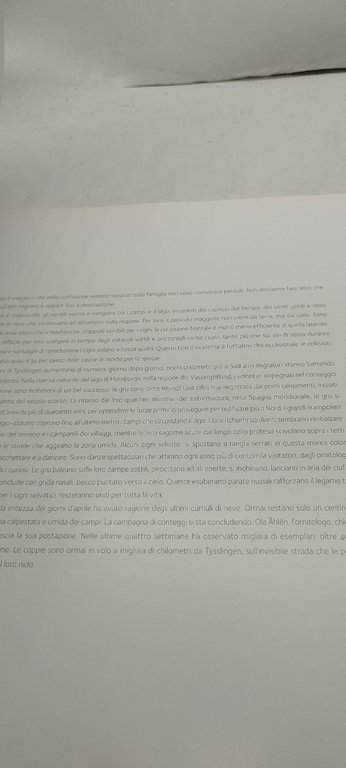 gli angeli dell'inverno