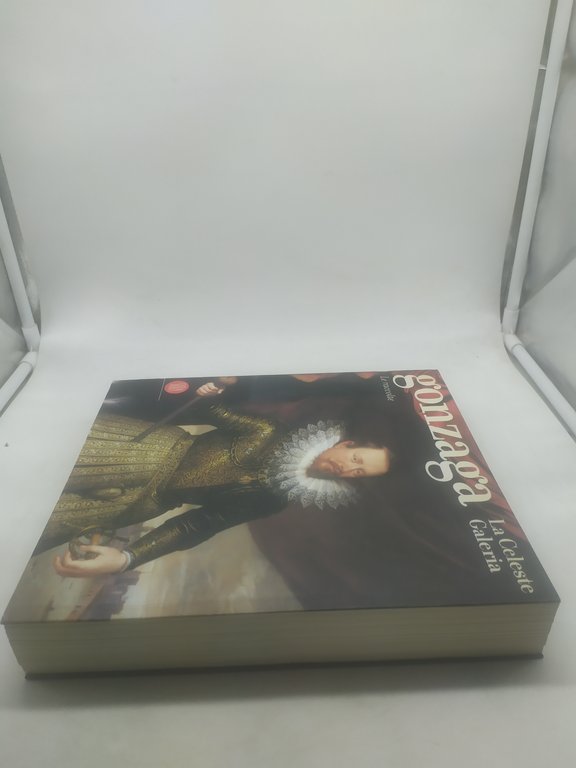 gonzaga la celeste galeria le raccolte skirA