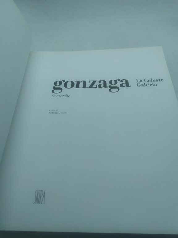 gonzaga la celeste galeria le raccolte skirA