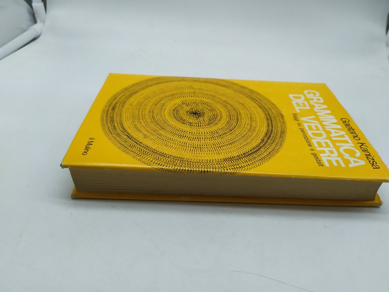 grammatica del vedere saggi su percezione e gestalt il mulino