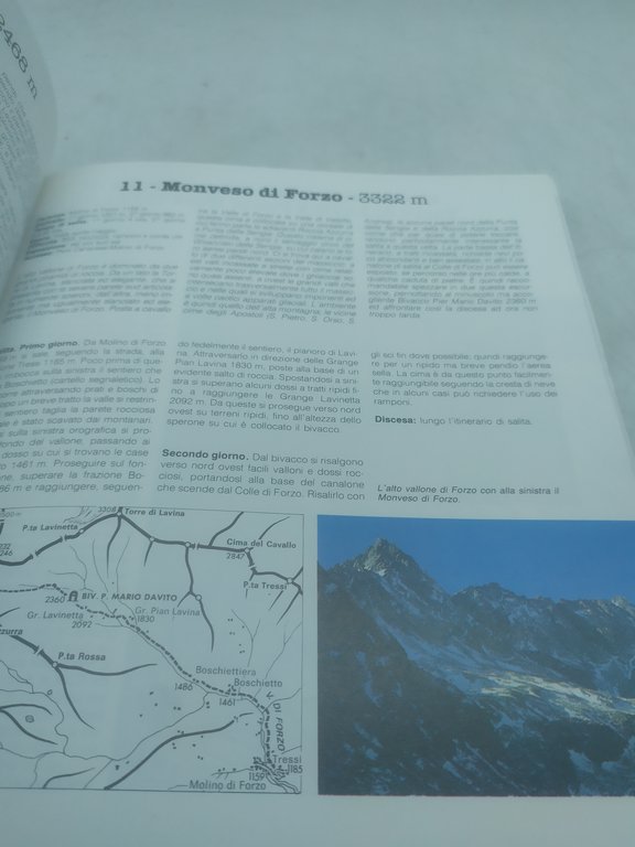 gran paradiso vanoise delfinato nei giardini dello sci