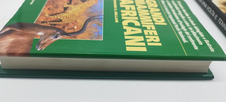 grandi mammiferi africani tutto mondadori