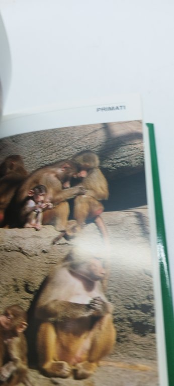 grandi mammiferi africani tutto mondadori