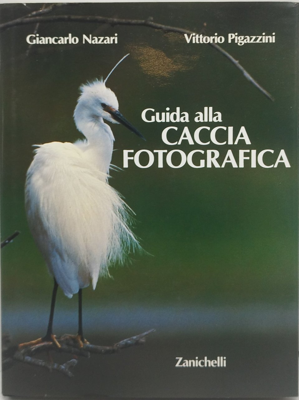 guida alla caccia fotografica zanichelli
