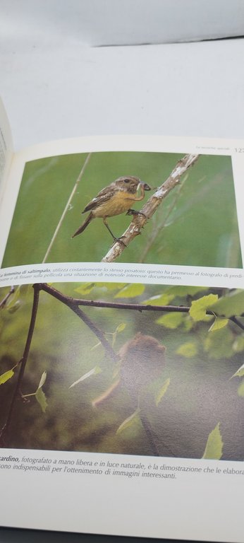 guida alla caccia fotografica zanichelli