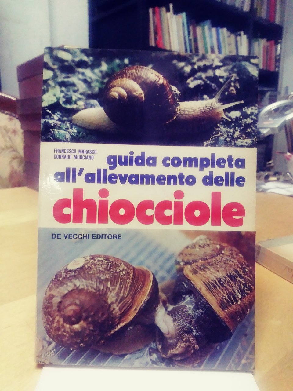 guida completa all'allevamento delle chiocciole