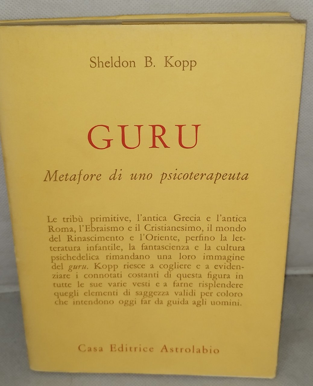 guru metafore di uno psicoterapeuta | Immagine principale