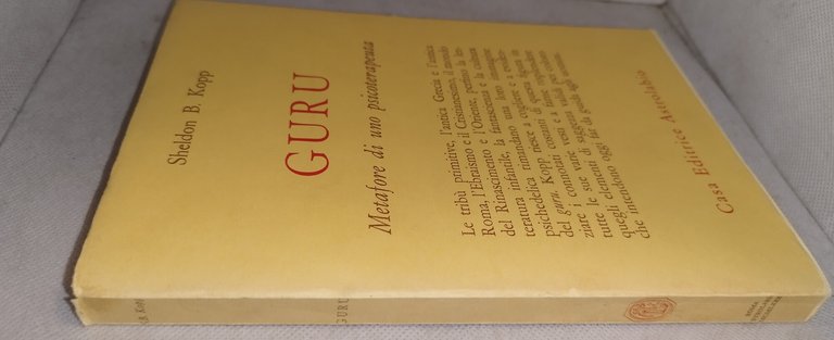 guru metafore di uno psicoterapeuta | Immagine Gallery 4