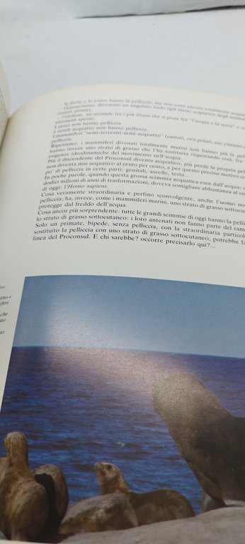 homo delphinus argomenti collana di bruno boggero jacques mayol