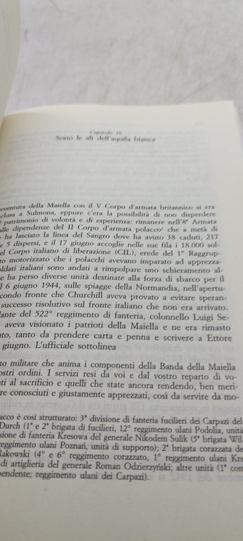 i banditi della libertà marco patricelli