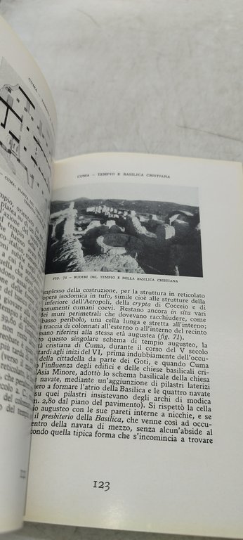 i campi flegrei dal sepolcro di virgilio all'antro di cuma