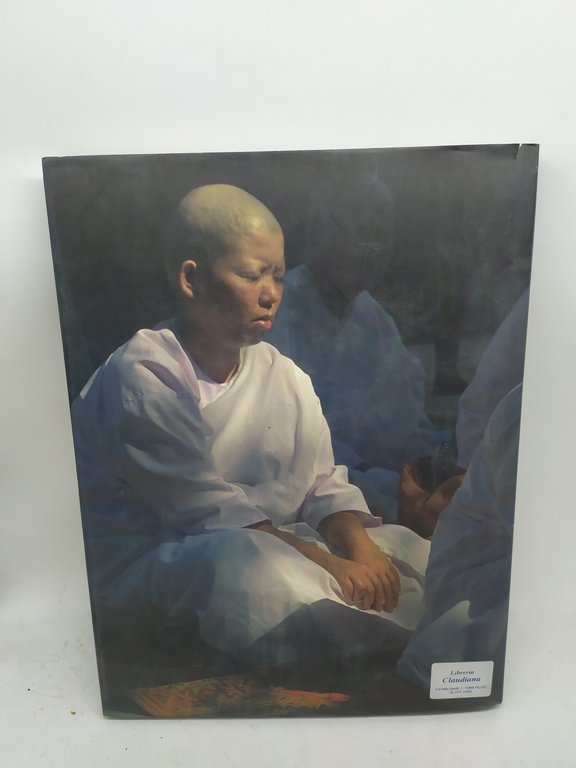 i colori del viaggio nino lorenzato giovanni tesio