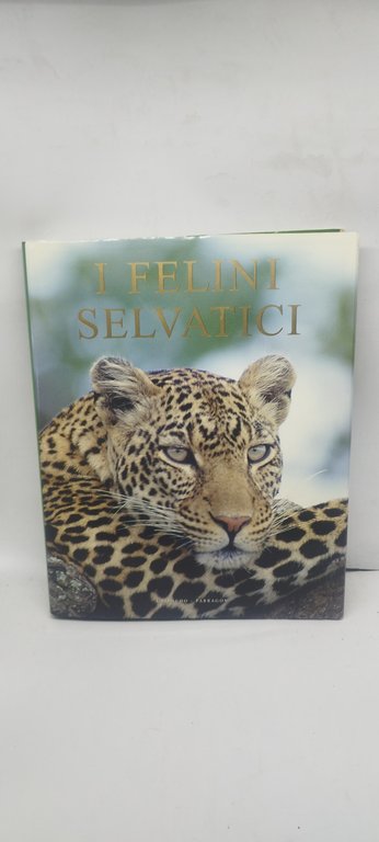 i felini selvatici gribaudo parragon