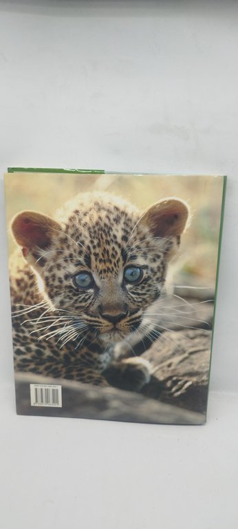 i felini selvatici gribaudo parragon