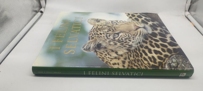 i felini selvatici gribaudo parragon