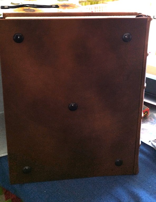 i medici e gli asburgo lorena arrigo pecchioli editalia