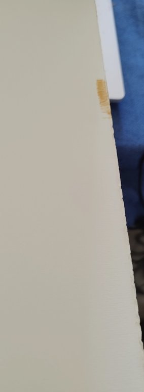 i medici e gli asburgo lorena arrigo pecchioli editalia