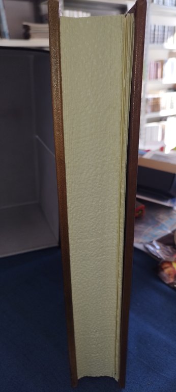 i medici e gli asburgo lorena arrigo pecchioli editalia