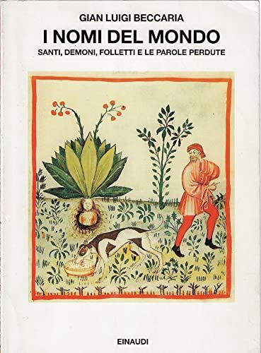 I nomi del mondo. Santi, demoni, folletti e le parole …