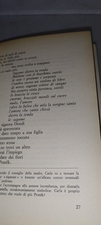 i novissimi poesia per gli anni 60 | Immagine Gallery 6