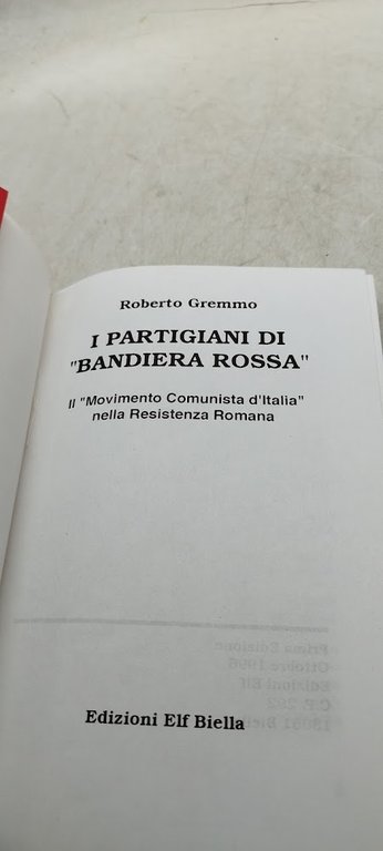 i partigiani di bandiera rossa