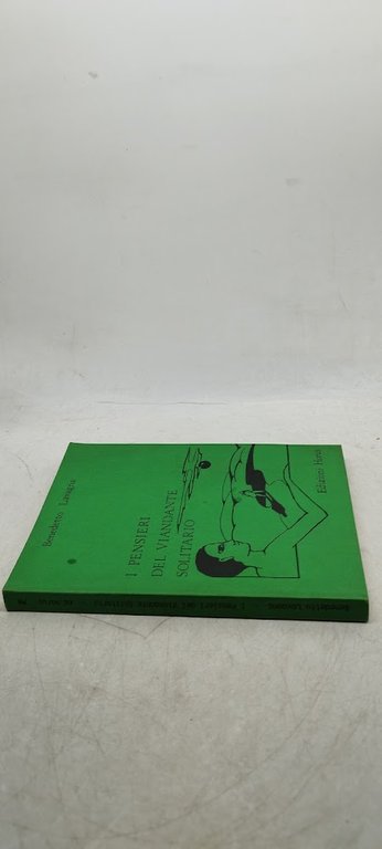 i pensieri del viandante solitario