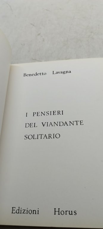 i pensieri del viandante solitario
