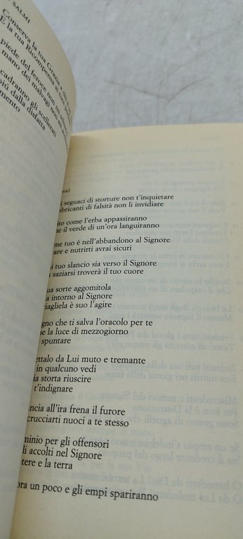 i salmi a cura di guido ceronetti einaudi