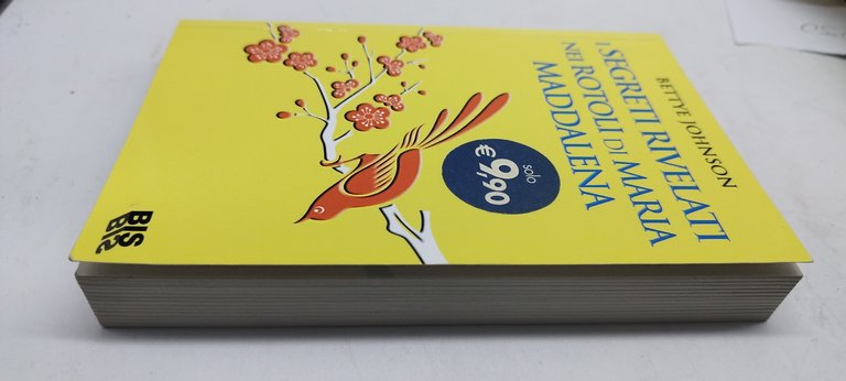 i segreti rivelati nei rotoli di maria maddalena