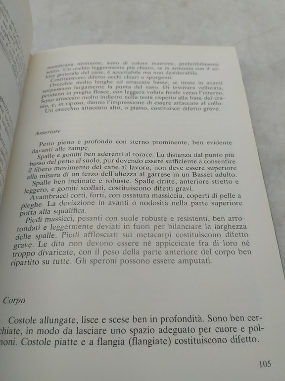 il basset hound george johnston olimpia